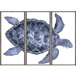 sea turtle triptych